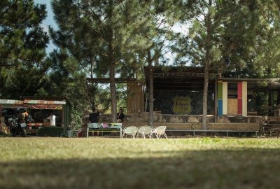 Passer une nuit magique en cabane insolite dans les arbres : immersion totale dans la nature