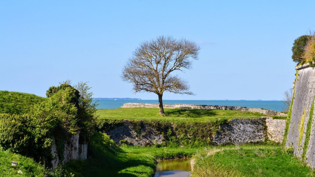 Planifier un séjour idéal sur l'Ile d'Oléron