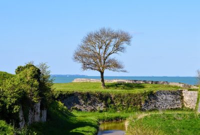 Planifier un séjour idéal sur l'Ile d'Oléron