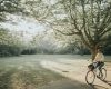 Pédalez en pleine nature grâce aux parcours vélo de la Seine-et-Marne